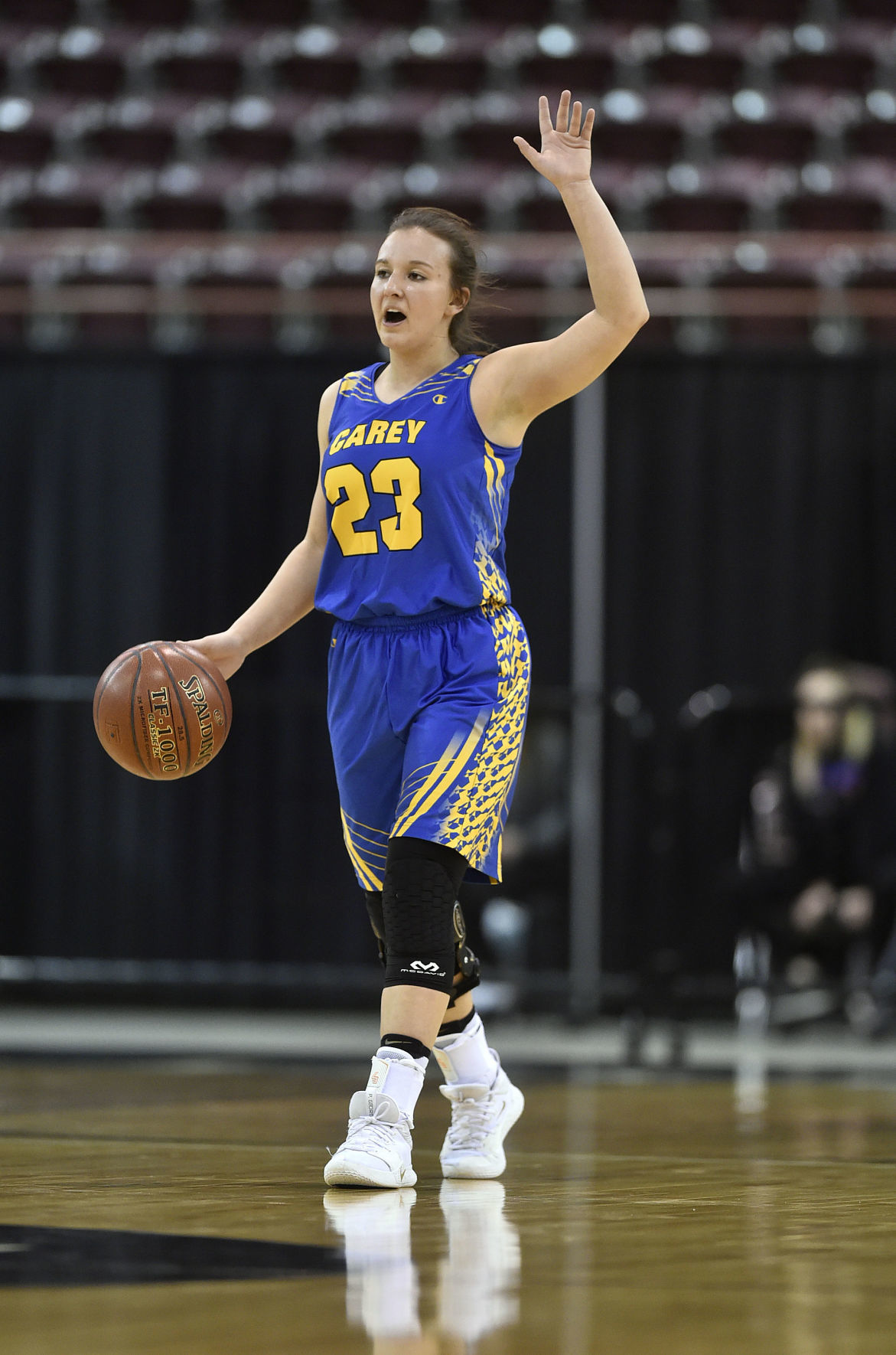 Girls State Basketball - Carey Vs. Rockland